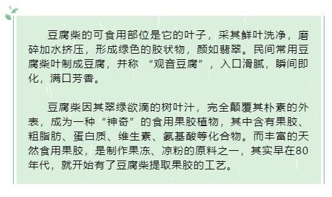 凉粉是什么做的？ 制作凉粉的原料你认识吗？这些植物都能做哦