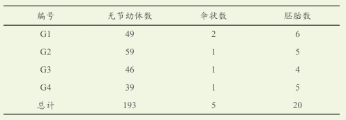 卤虫养殖条件初探